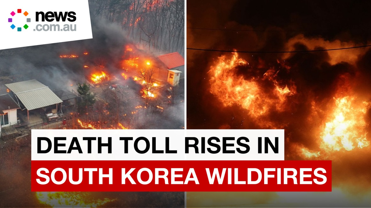 Deadly Wildfires Ravage South Korea as Death Toll Rises