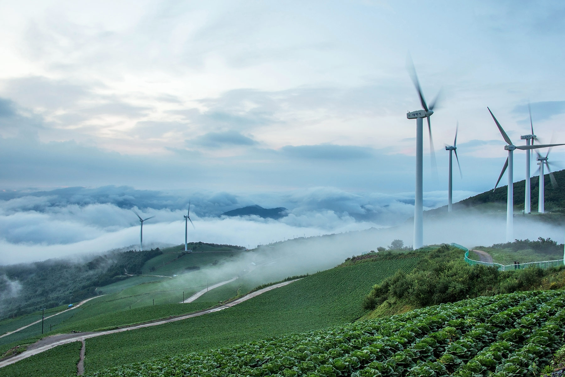 In South Korea, Has the Green New Deal Worked?