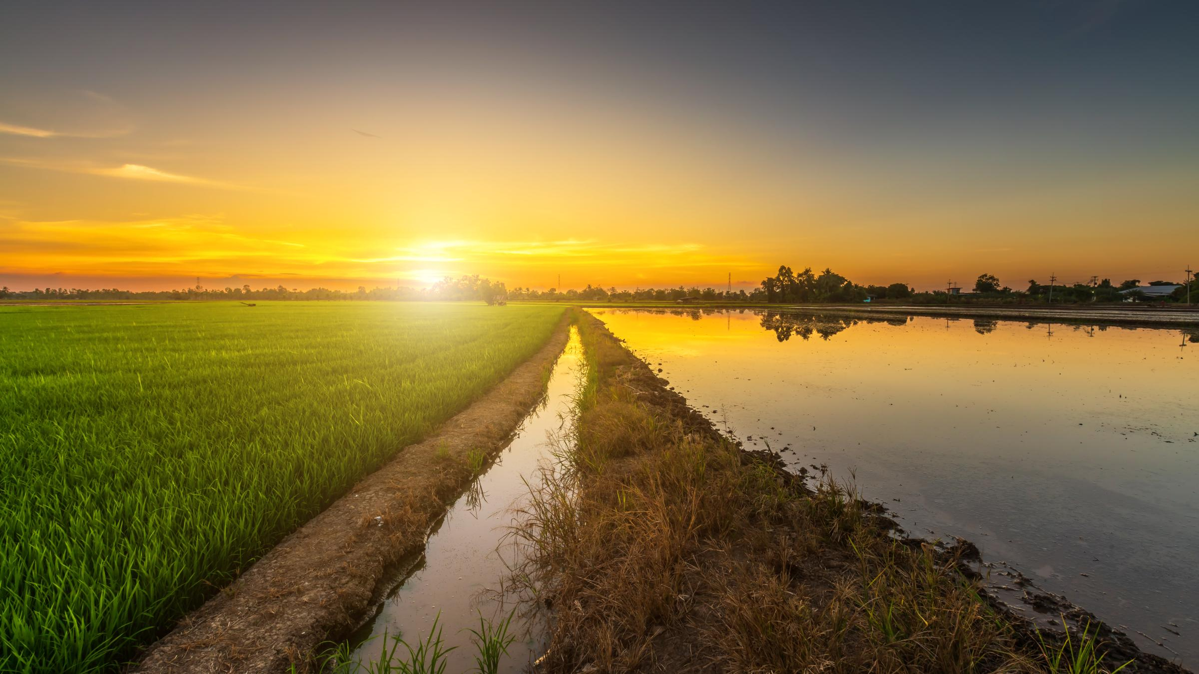 Major Policy Plans for  of the Ministry of Agriculture, Food