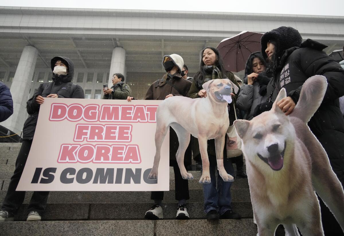 South Korea bans dog meat trade as times and attitudes change