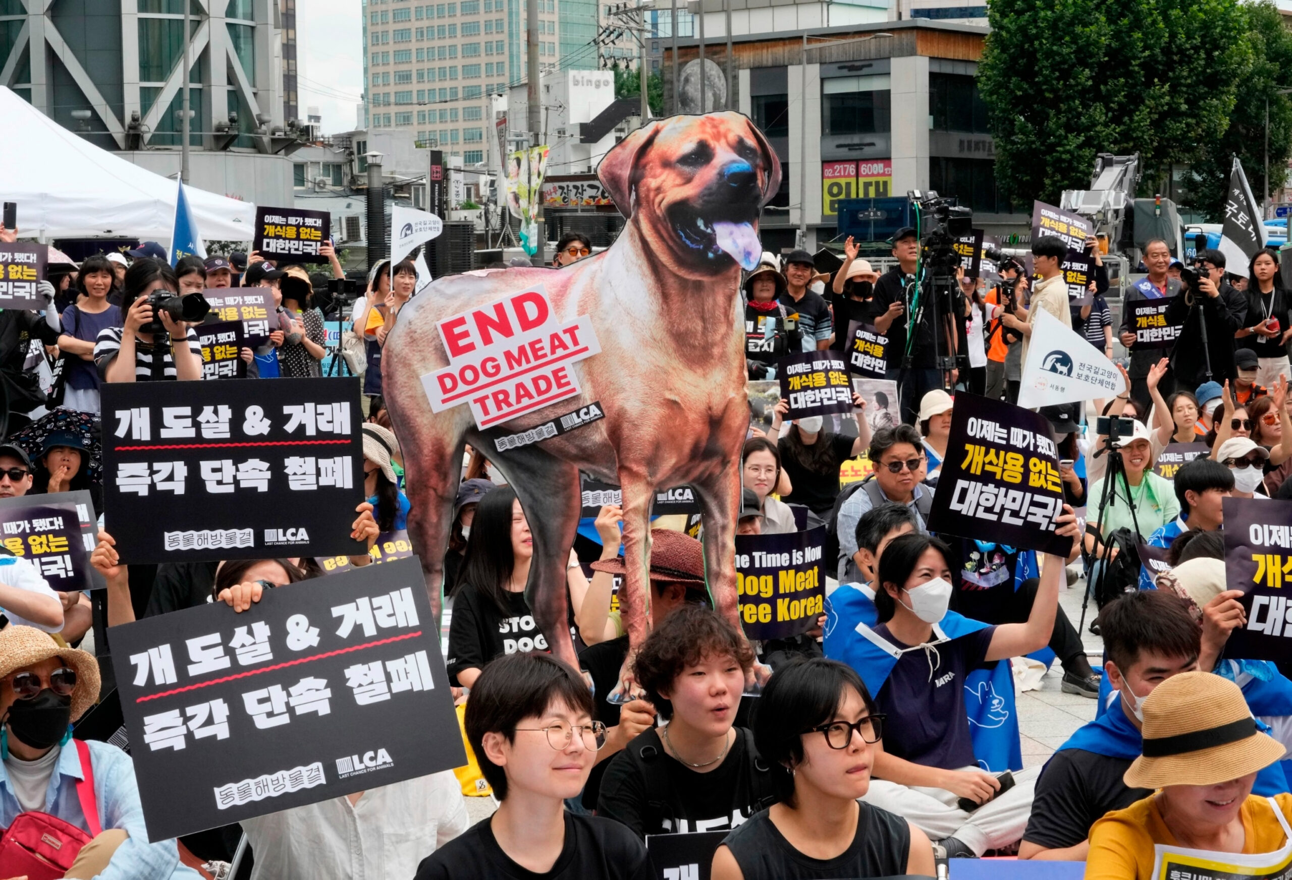 South Korean assembly bans dog meat trade, consumption - ABC News