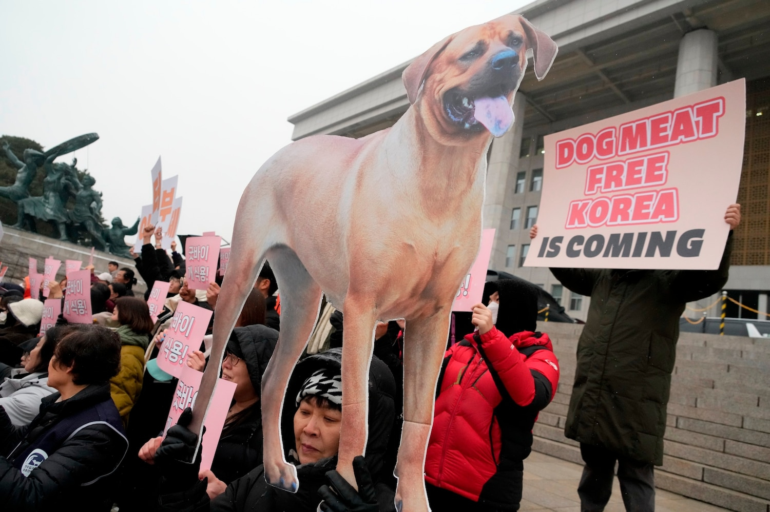 South Korean assembly bans dog meat trade, consumption - ABC News