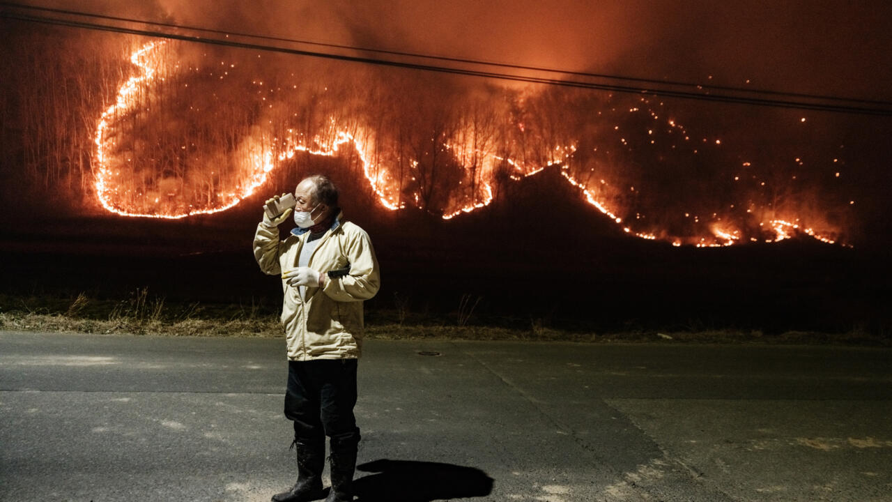 Wildfires ravage South Korea as death toll mounts